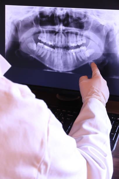 Best Emergency X-Rays and Diagnostics in Riverdale, CA